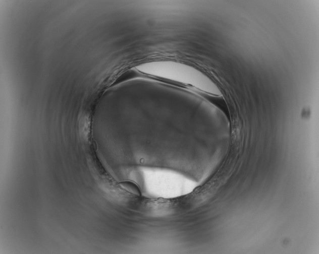 X0000090760767200708172047