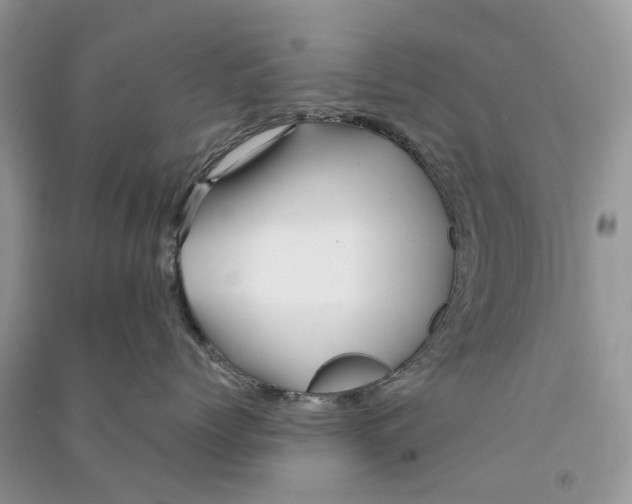 X0000090760768200708172047