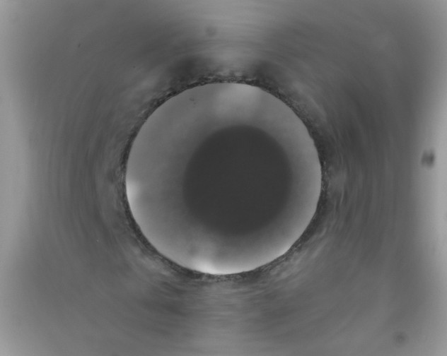 X0000090760769200708172047