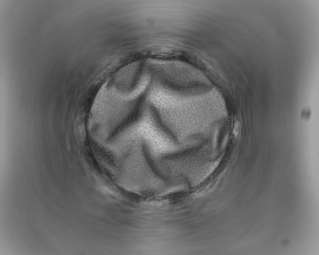 X0000090760771200708172047