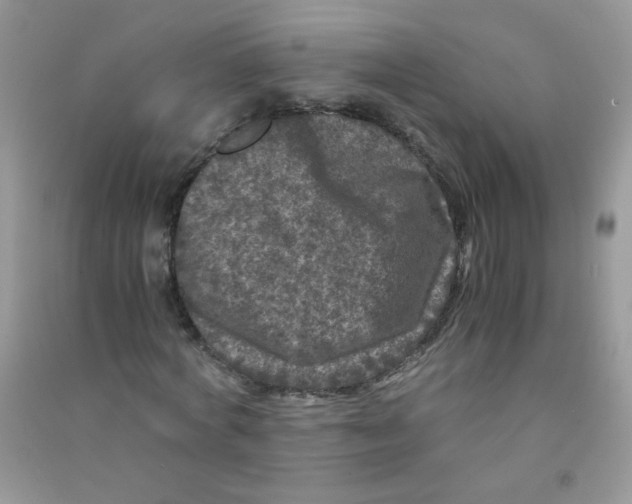 X0000090760772200708172047