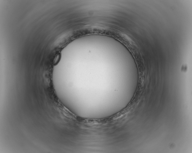 X0000090760774200708172047