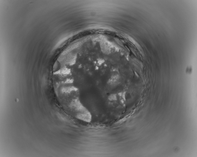 X0000090760775200708172047