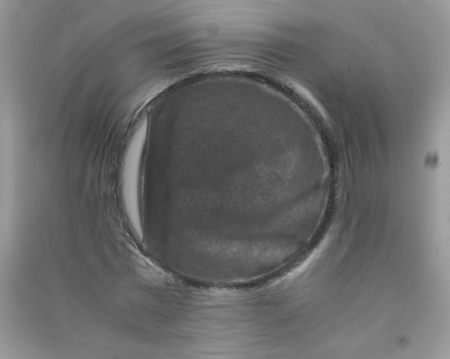 X0000090760777200708172047