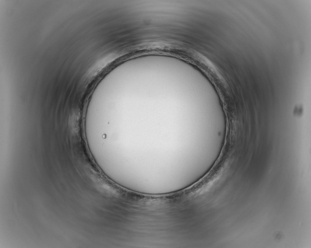 X0000090760778200708172047