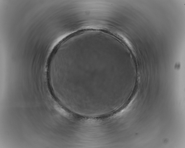 X0000090760779200708172047