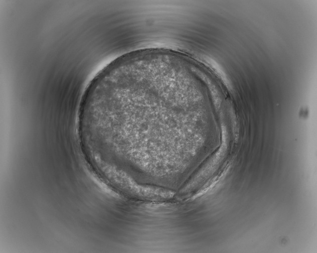 X0000090760780200708172047