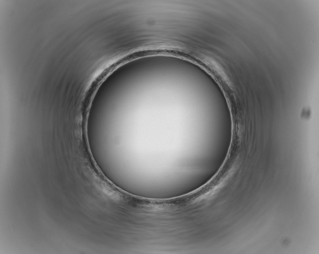 X0000090760781200708172047