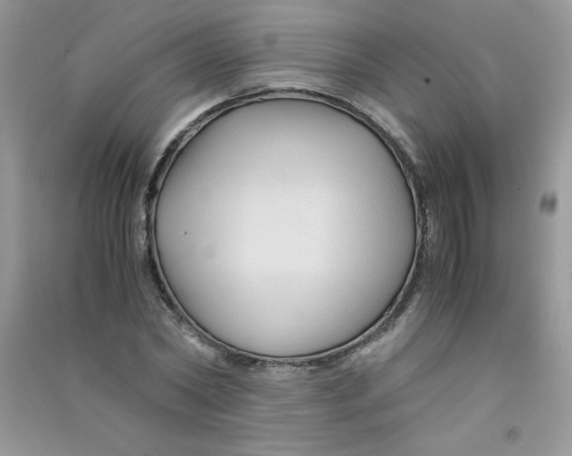 X0000090760782200708172047