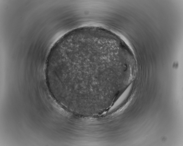 X0000090760783200708172047