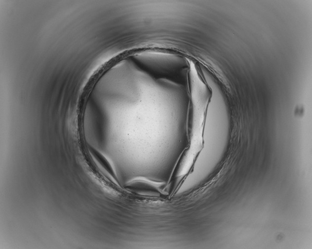 X0000090760784200708172047