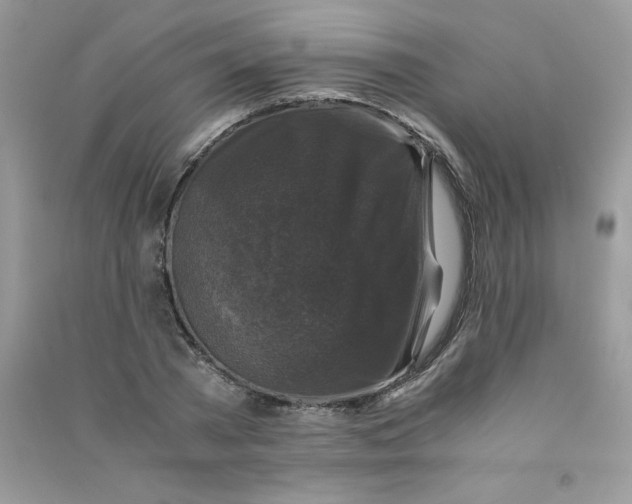 X0000090760785200708172047