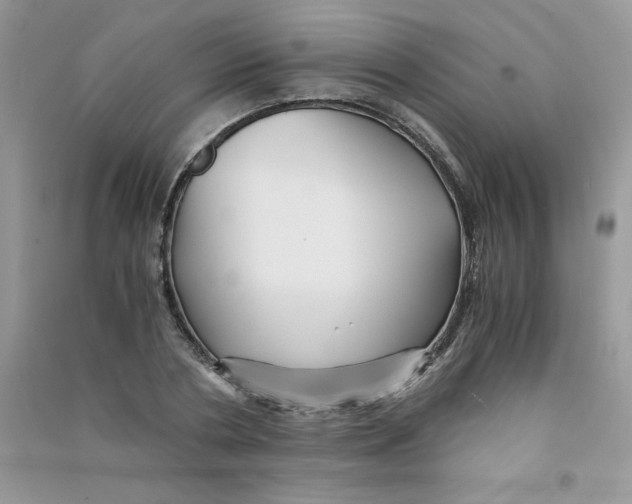 X0000090760786200708172047