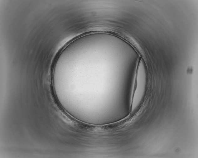 X0000090760787200708172047