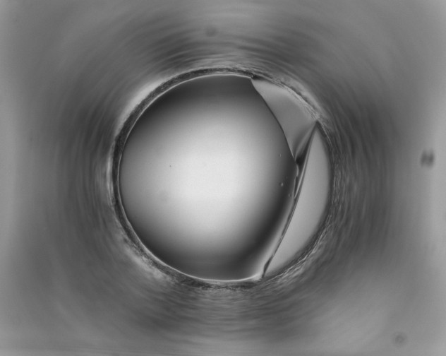 X0000090760788200708172047