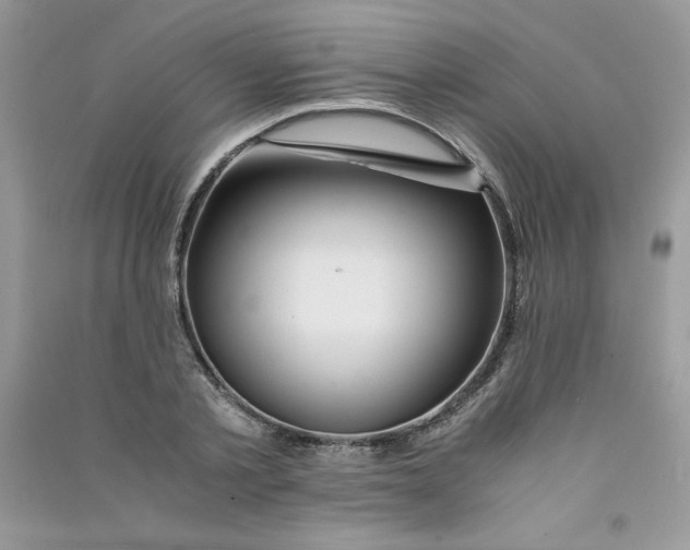 X0000090760789200708172047