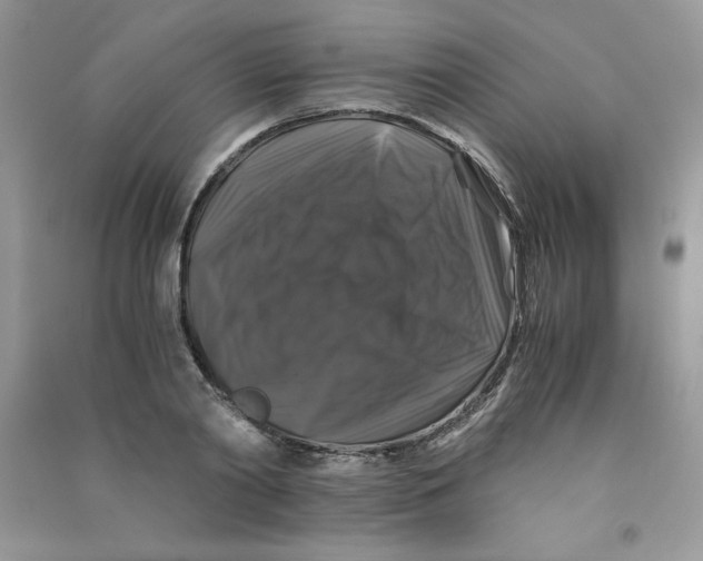 X0000090760790200708172047