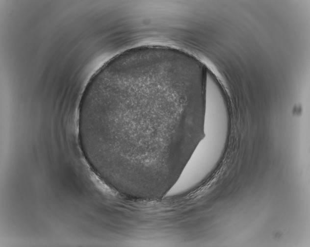 X0000090760791200708172047