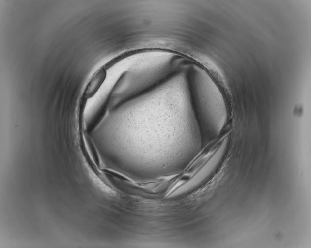 X0000090760792200708172047