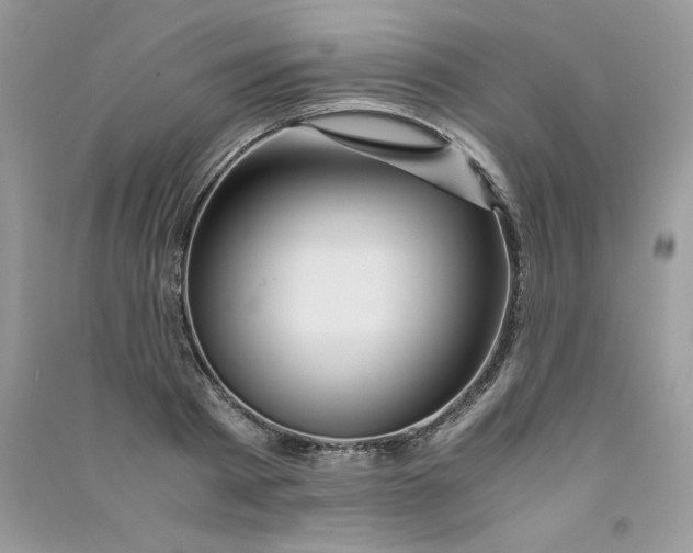 X0000090760793200708172047