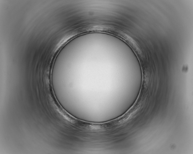 X0000090760794200708172047