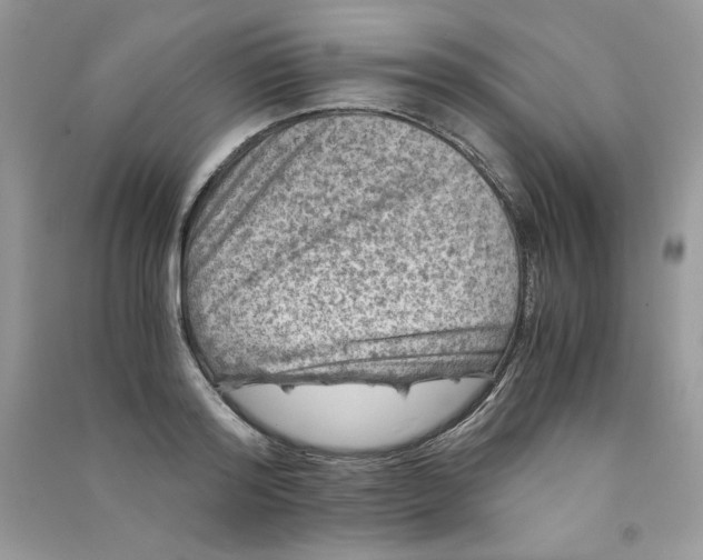 X0000090760796200708172047