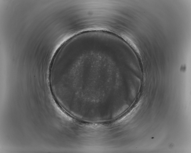 X0000090760797200708172047