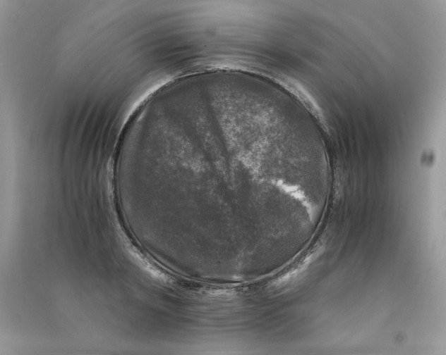 X0000090760798200708172047