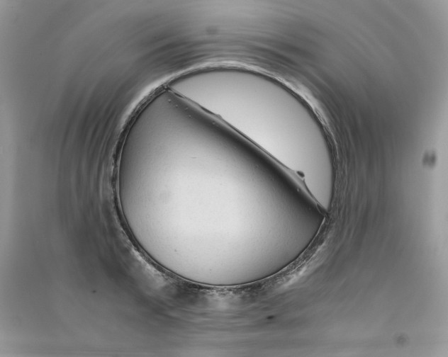 X0000090760799200708172046