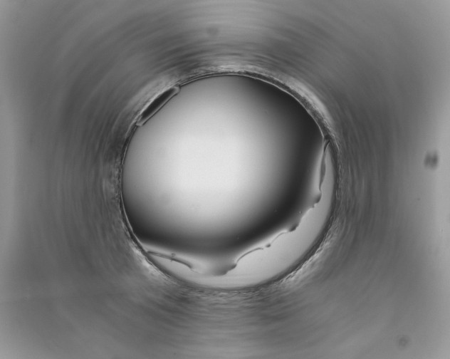 X0000090760801200708172046