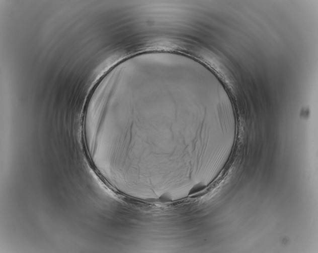 X0000090760802200708172046