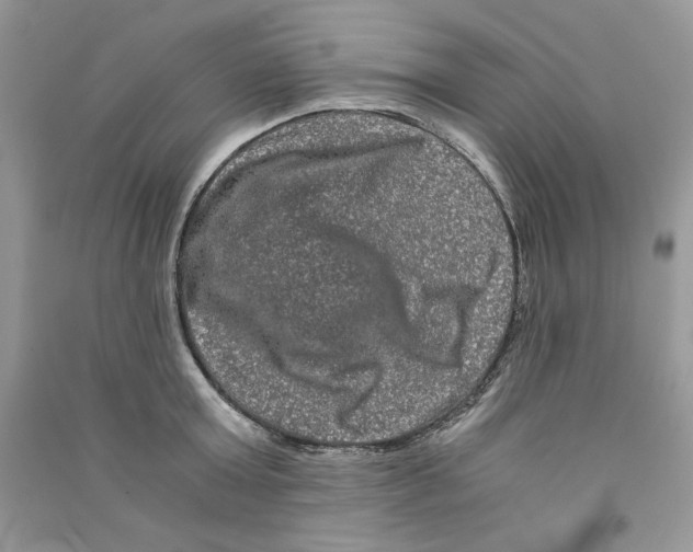 X0000090760803200708172046