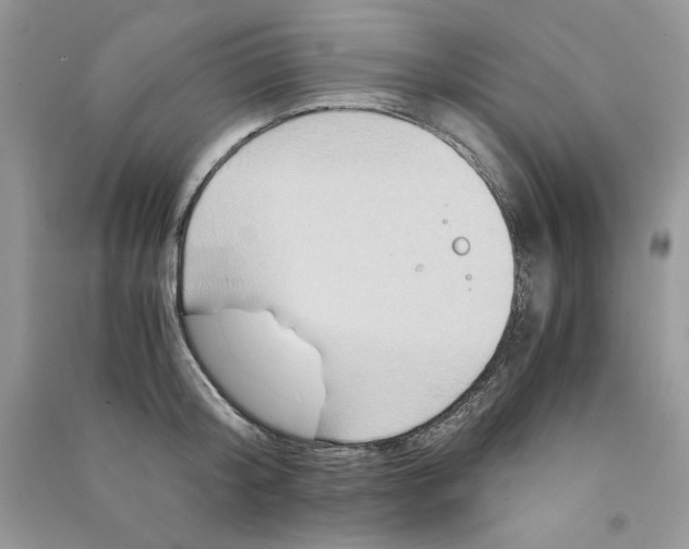 X0000090760804200708172046