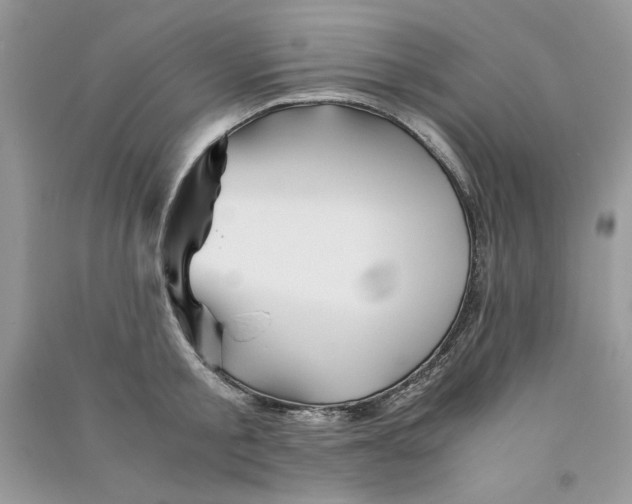 X0000090760805200708172046