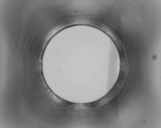 X0000090760807200708172046