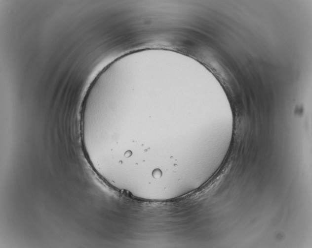 X0000090760808200708172046