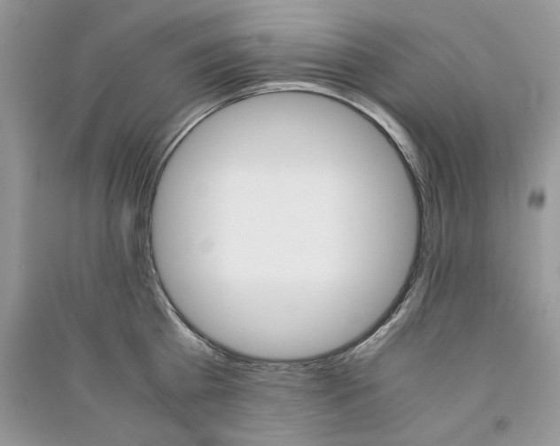 X0000090760809200708172046