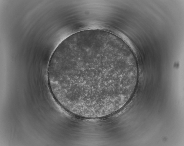 X0000090760810200708172046