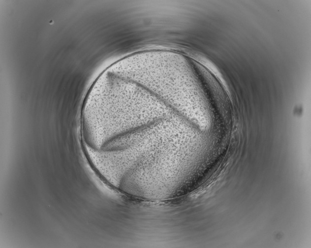 X0000090760811200708172046