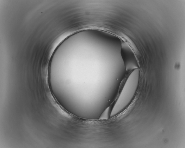 X0000090760812200708172046