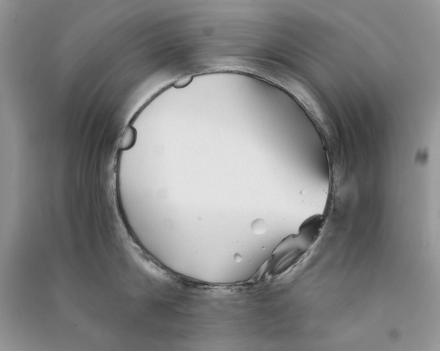 X0000090760814200708172046