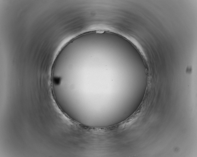 X0000090760815200708172046