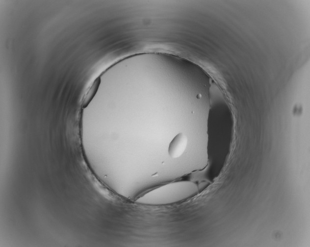 X0000090760816200708172046