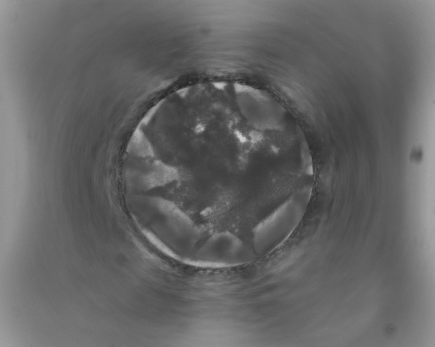 X0000090760817200708172046