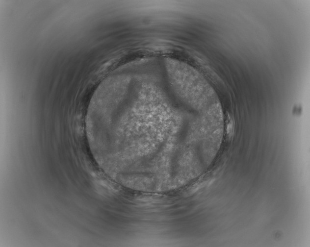 X0000090760819200708172046