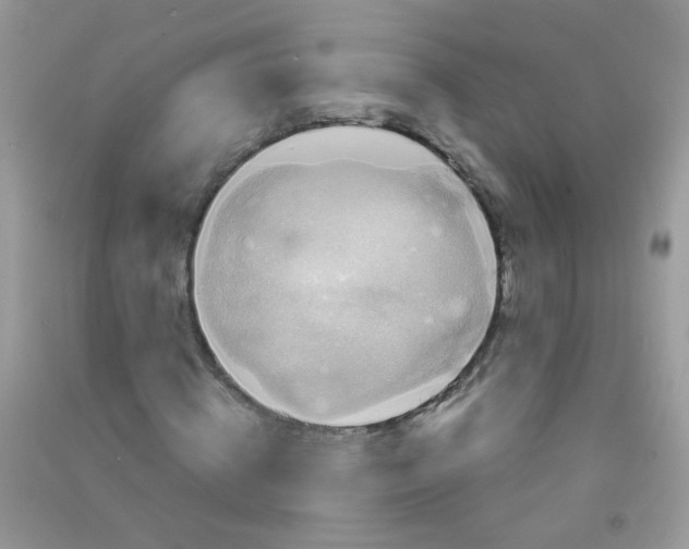 X0000090760820200708172046