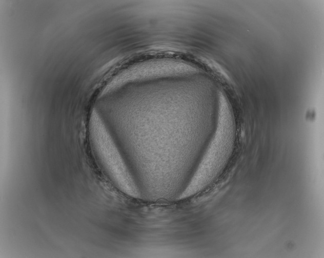 X0000090760821200708172046