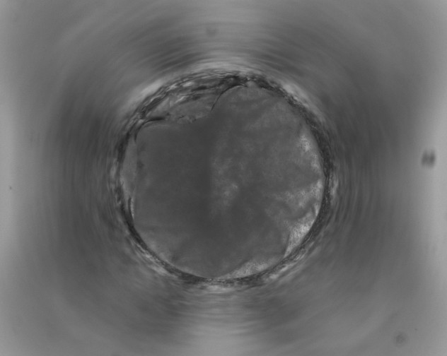 X0000090760822200708172046