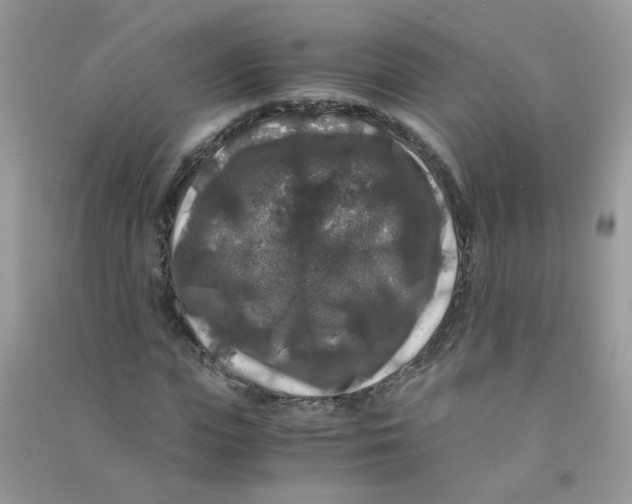 X0000090760823200708172046