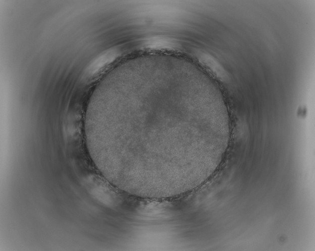 X0000090760824200708172046